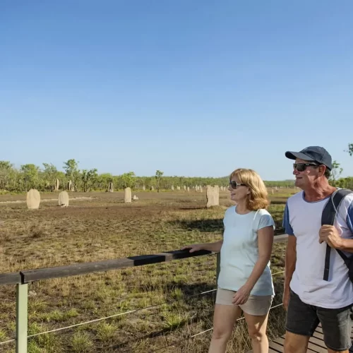 litchfield national park day trip