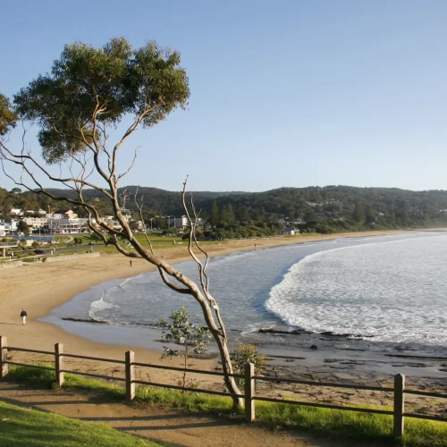 melbourne to adelai tours