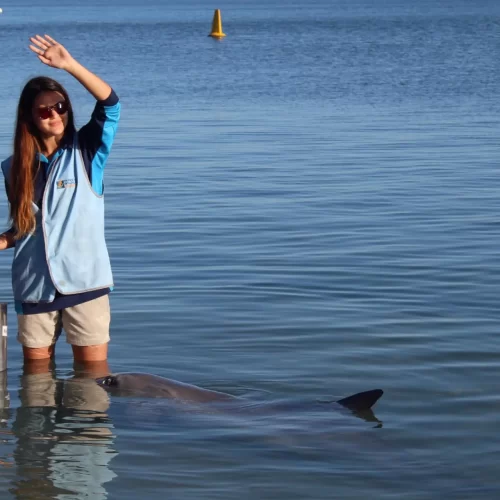 perth to monkey mia tours