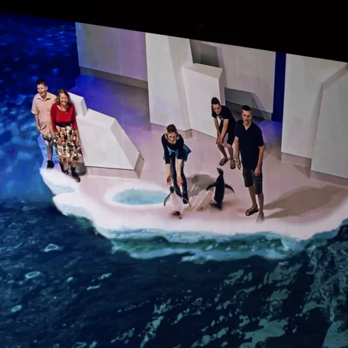 phillip island penguin tours from melbourne