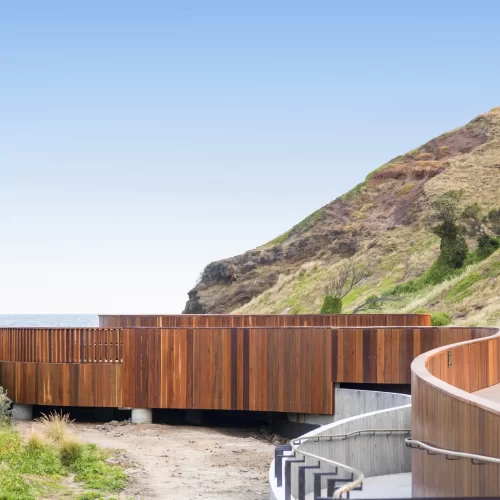 phillip island penguins tours from melbourne