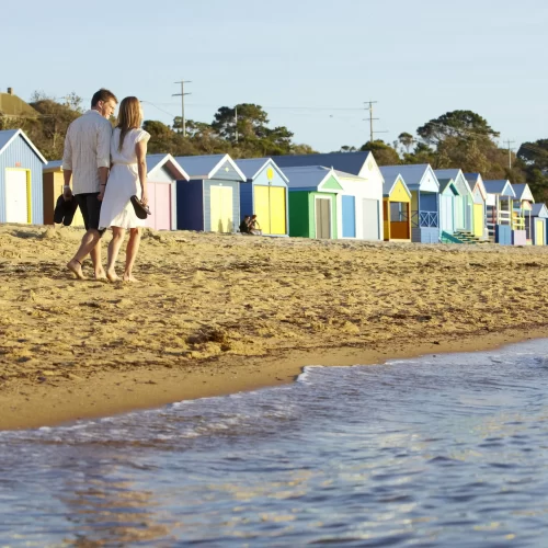 private mornington peninsula wine tours