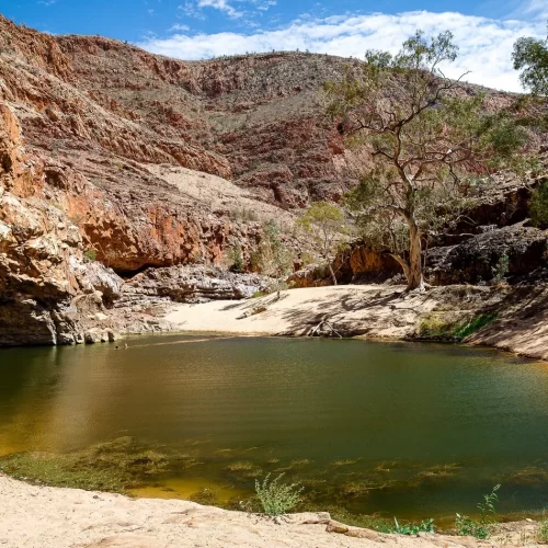 west macdonnell ranges day tour