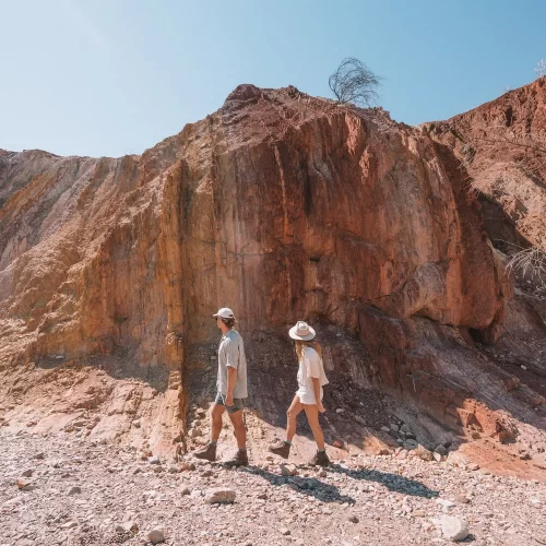 west macdonnell ranges half-day tour