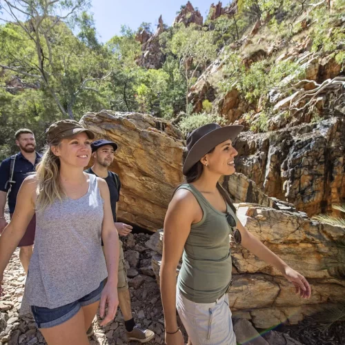 west macdonnell ranges tour