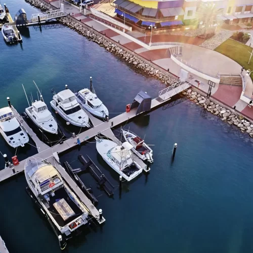 whale shark tours exmouth